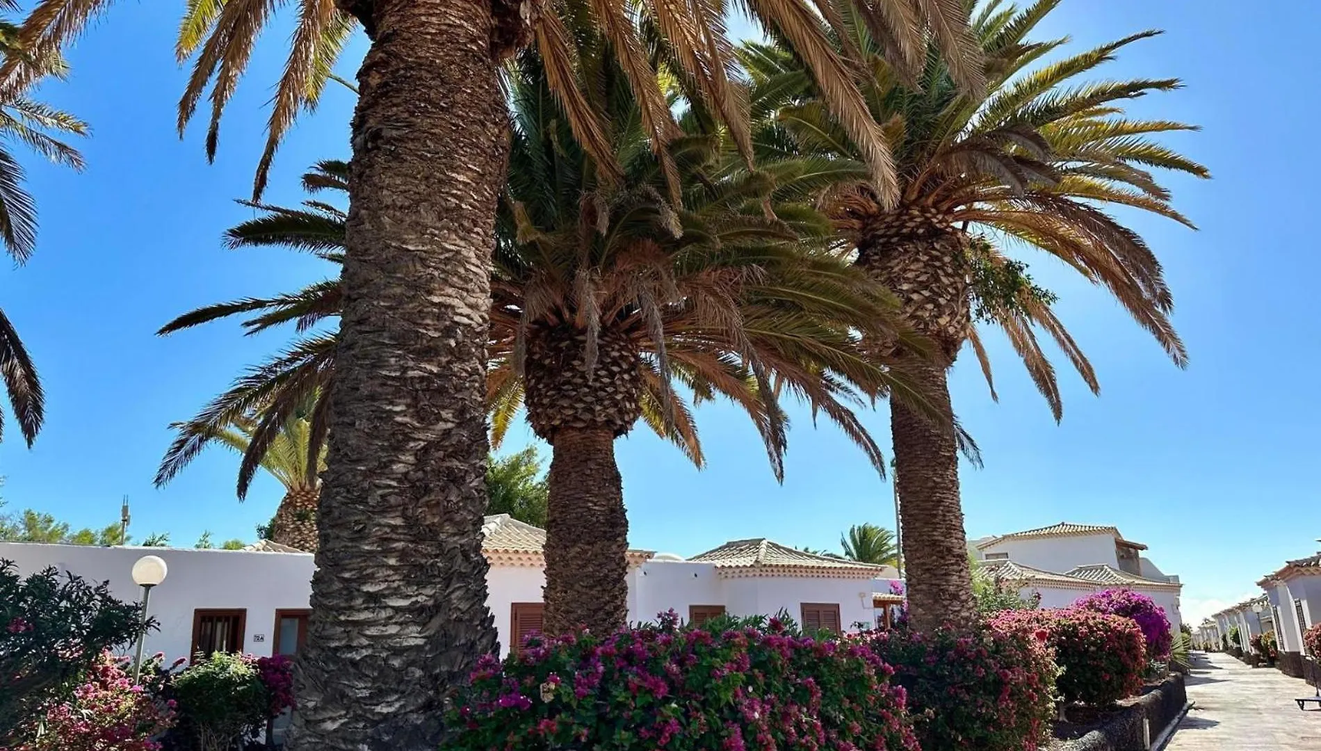 Willa The Retreat Golf Del Sur San Miguel de Abona